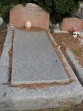 image of grave number 385540